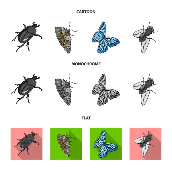 Arthropods insect beetle, moth, butterfly, fly. Insects set collection icons in cartoon,flat,monochrome style vector symbol stock isometric illustration web. — Stock Vector