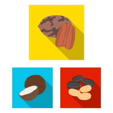 Fındık çeşitleri set koleksiyonu tasarım için simgeleri düz. Fındık gıda vektör simge stok web çizim.
