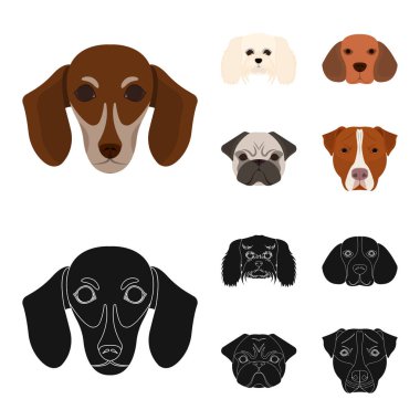 Farklı doğurmak-in köpek ağızlık. Köpek doğurmak dachshund, fino, beagle, pug çizgi film, siyah stil vektör simge stok çizim web içinde toplama simgeler ayarla.