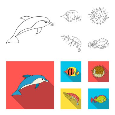 Karides, balık, kirpi ve diğer türler. Deniz hayvanları toplama simgeler anahat, düz stil vektör simge stok çizim web ayarla..
