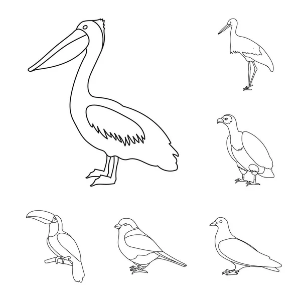 Arten von Vögeln umreißen Symbole in Set-Kollektion für Design. Haus und Wildvogel Vektor Symbol Stock Web Illustration. — Stockvektor