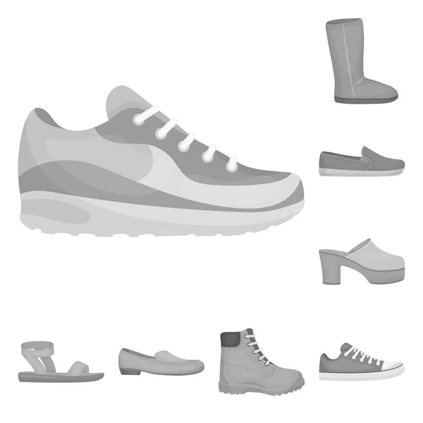 Una varietà di scarpe icone monocromatiche nella collezione set per il design. Stivale, scarpe da ginnastica vettoriale simbolo stock web illustrazione . — Vettoriale Stock