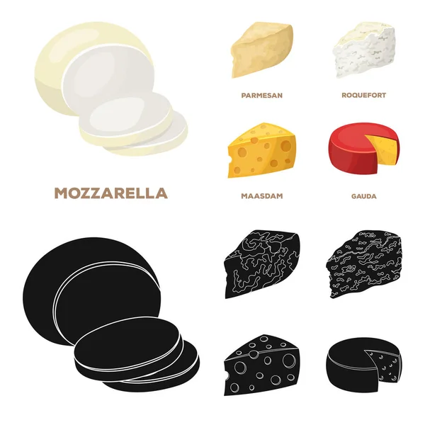 Parmesan, roquefort, maasdam, gauda.Different types de fromage ensemble icônes de la collection dans la bande dessinée, noir style vectoriel symbole illustration web . — Image vectorielle