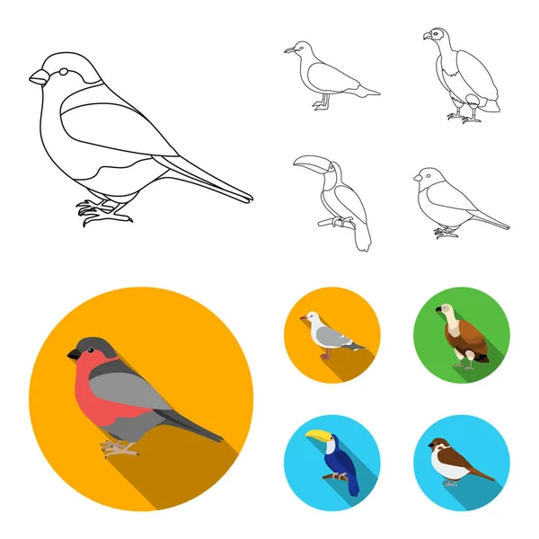 Mouette, toucan et autres espèces. Oiseaux ensemble icônes de la collection dans les grandes lignes, style plat vectoriel symbole illustration web . — Image vectorielle
