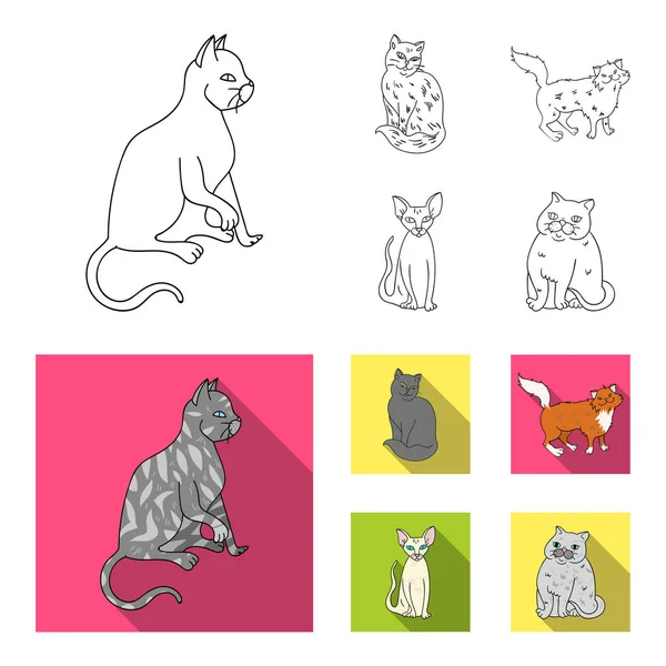 Sfenks, nibelung, Norveçli orman kedi ve diğer türler. Kedi doğurmak toplama simgeler anahat, düz stil vektör simge stok çizim web ayarla.. — Stok Vektör