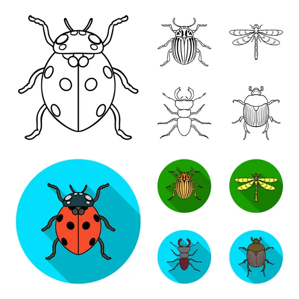 Insect, bug, beetle, paw .Insects set collection icons in outline,flat style vector symbol stock illustration web. — Stock Vector