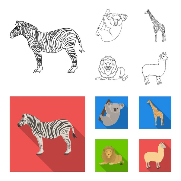 Cebra africana, koala animal, jirafa, depredador salvaje, león. Animales salvajes conjunto colección iconos en el contorno, plano estilo vector símbolo stock ilustración web . — Archivo Imágenes Vectoriales