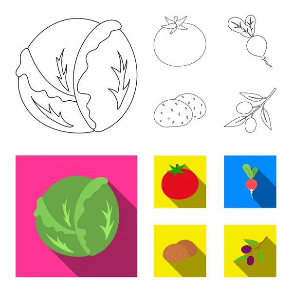Капуста белая, помидоры красные, рис, картошка. Овощи установить иконки коллекции в набросок, плоский стиль векторные символы фондового иллюстрации веб . — стоковый вектор