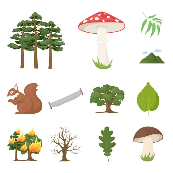 Bosque y naturaleza iconos de dibujos animados en la colección de conjuntos para el diseño. Bosque vida vector símbolo stock web ilustración . — Vector de stock