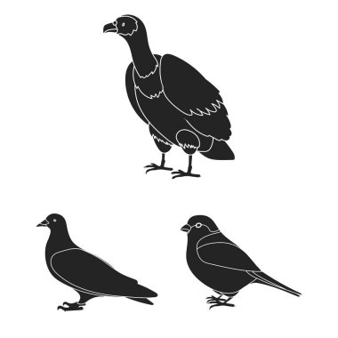 Kuş türleri set koleksiyonu tasarım için simgeler siyah. Ev ve vahşi kuş vektör simge stok web çizim.