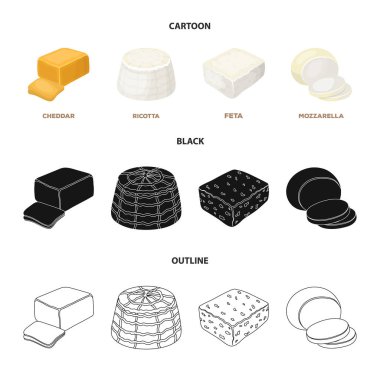 Mozzarella peyniri, beyaz peynir, kaşar peyniri, ricotta. Farklı peynir toplama simgeler çizgi film, siyah, anahat stili vektör simge stok çizim web içinde ayarla..