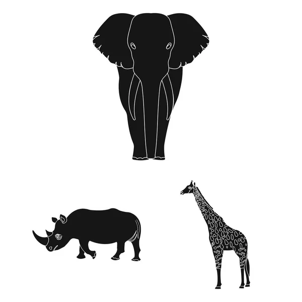 Diferentes animales iconos negros en la colección de conjuntos para el diseño. Pájaro, depredador y herbívoro vector símbolo stock web ilustración . — Vector de stock