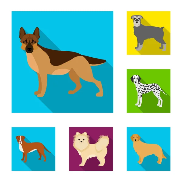 Dog breeds flat icons in set collection for design.Dog pet vector symbol stock web illustration. — Stock Vector