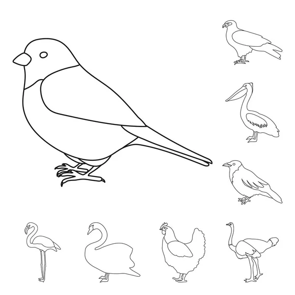 鳥の種類は、設計のためのセットのコレクションのアイコンを概説します。ホームと野生の鳥ベクトル シンボル ストック web イラスト. — ストックベクタ