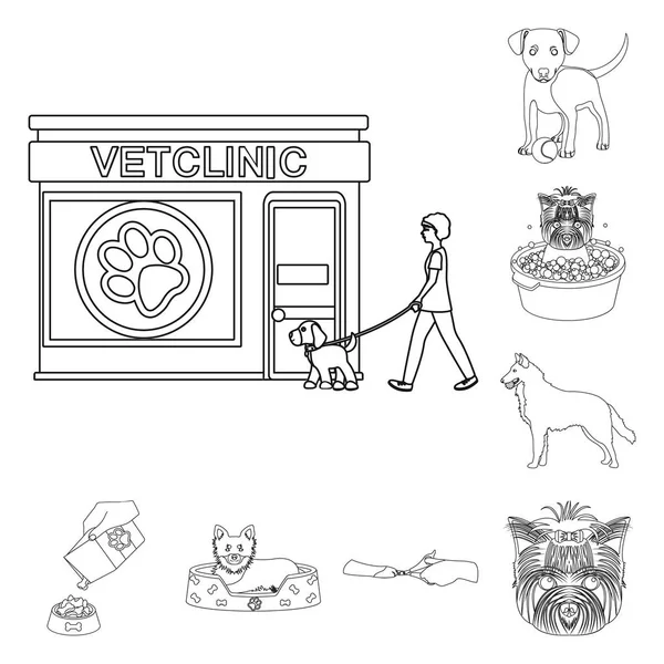 Ícones de esboço de animais de estimação na coleção de conjuntos para design. Cuidados e educação símbolo vetor web ilustração . —  Vetores de Stock