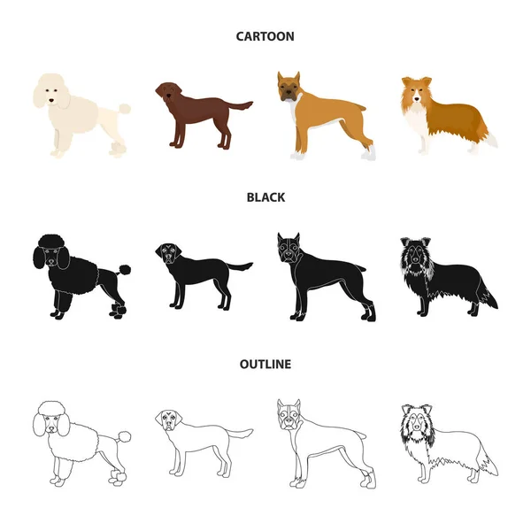 Chien de races dessin animé, noir, contour icônes dans la collection de jeu pour le design.Dog animal de compagnie vecteur symbole illustration web stock . — Image vectorielle