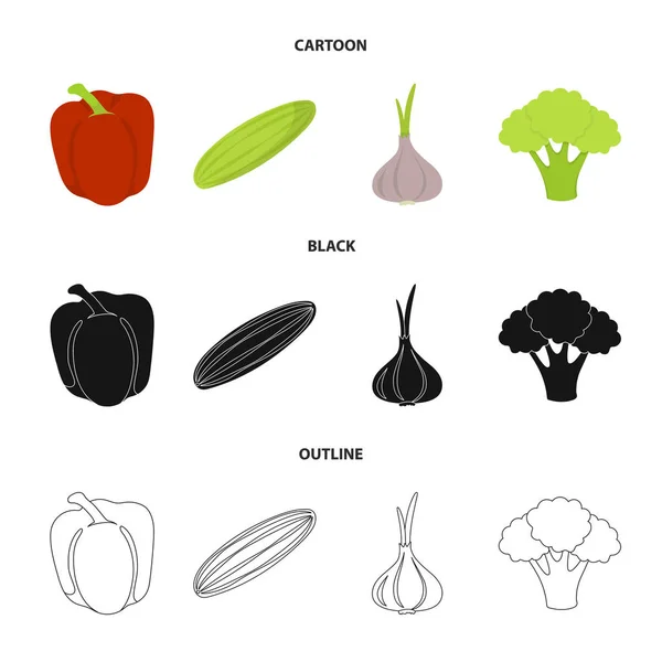 Rote Paprika, grüne Gurken, Knoblauch, Kohl. Gemüse Set Sammlung Symbole in Cartoon, schwarz, Umriss Stil Vektor Symbol Stock Illustration Web. — Stockvektor