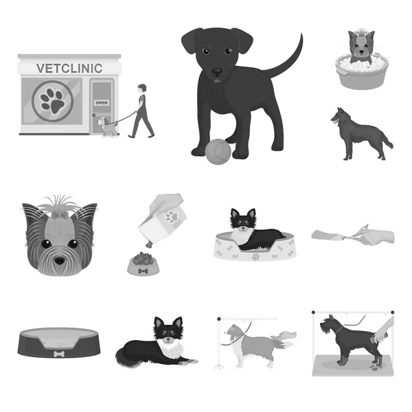 Ícones monocromáticos de animais de estimação na coleção de conjuntos para design. Cuidados e educação símbolo vetor web ilustração . —  Vetores de Stock