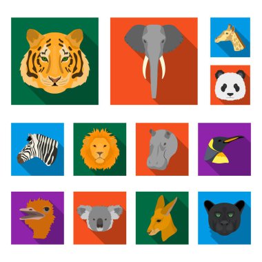 Set koleksiyonu tasarım için vahşi hayvan düz simgeler. Mammal ve kuş sembol stok web illüstrasyon vektör.