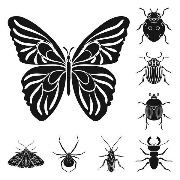 Different kinds of insects black icons in set collection for design. Insect arthropod vector symbol stock web illustration. — Stock Vector