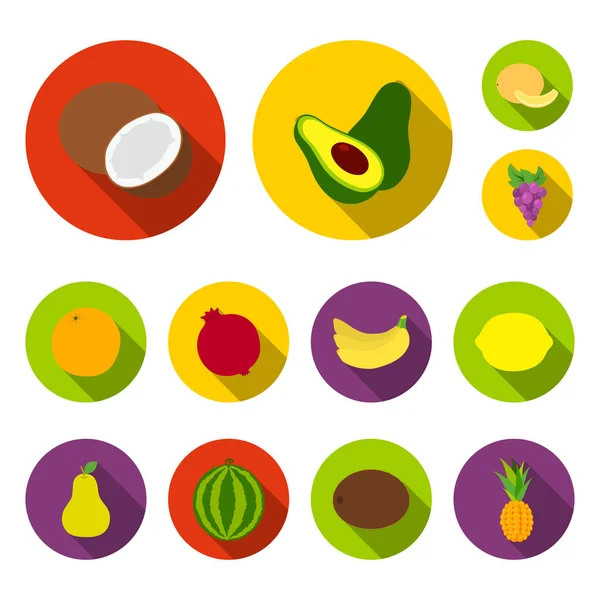 Фруктовые плоды в коллекции для дизайна. Фрукты и витамины . — стоковый вектор