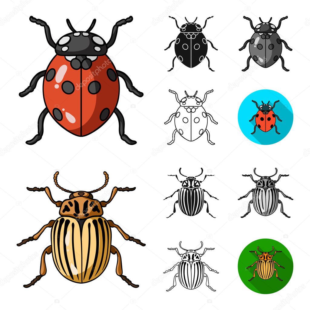 Different kinds of insects cartoon,black,flat,monochrome,outline icons in set collection for design. Insect arthropod vector symbol stock web illustration.
