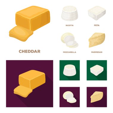 Mozzarella peyniri, beyaz peynir, kaşar peyniri, ricotta. Farklı peynir toplama simgeler çizgi film, düz stil vektör simge stok çizim web ayarla..