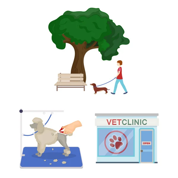 Ícones de desenhos animados para animais de estimação na coleção de conjuntos para design. Cuidados e educação símbolo vetor web ilustração . —  Vetores de Stock