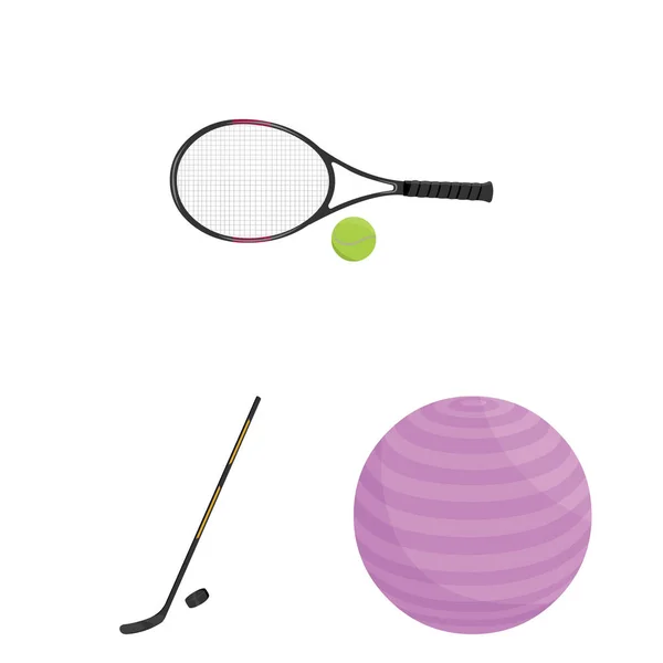Diferentes tipos de ícones de desenhos animados esportivos na coleção de conjuntos para design. Equipamento desportivo símbolo vetorial ilustração web stock . — Vetor de Stock