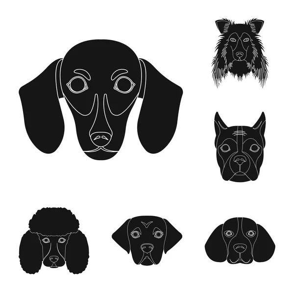 犬の品種は黒デザインのセットのコレクションのアイコンです。犬のベクトル シンボル ストック web 図の銃口. — ストックベクタ