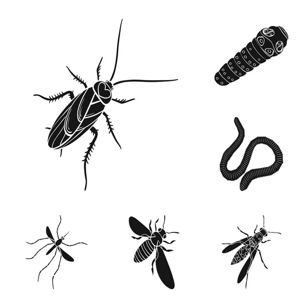 不同种类的昆虫黑色图标集合中的设计。昆虫节肢动物向量等距符号股票 web 插图. — 图库矢量图片