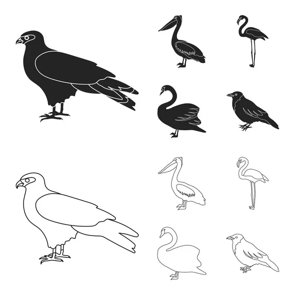 Latawiec, Pelikan, flamingo, łabędź. Ptaki zestaw kolekcji ikon w czarny, www ilustracji symbol wektor zarys styl. — Wektor stockowy