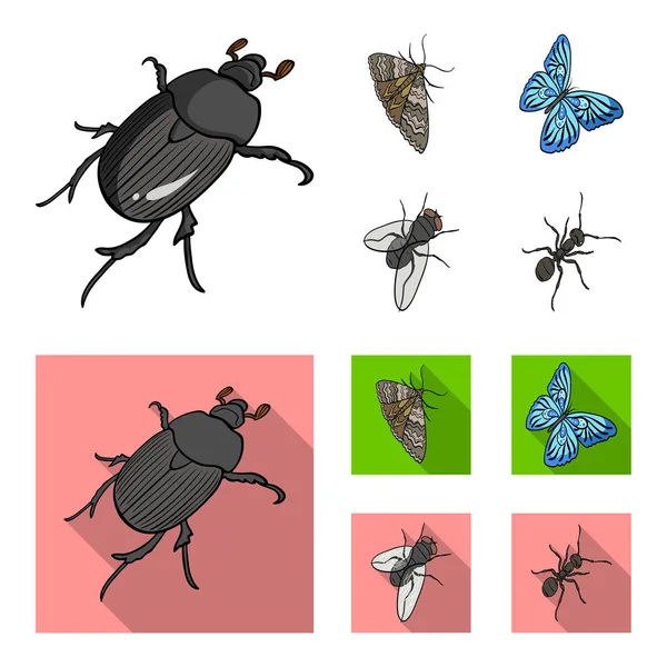 Arthropods insect beetle, moth, butterfly, fly. Insects set collection icons in cartoon,flat style vector symbol stock isometric illustration web. — Stock Vector