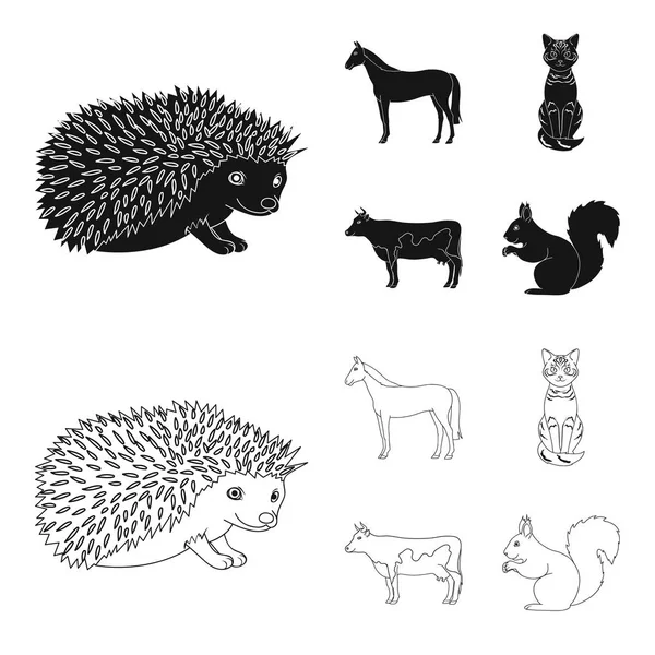 Cheval, vache, chat, écureuil et d'autres types d'animaux.Animaux mis icônes de la collection en noir, contour de style vectoriel symbole illustration web . — Image vectorielle