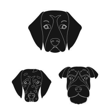 Köpek ırkları set koleksiyonu tasarım için simgeler siyah. Bir köpek vektör simge stok web illüstrasyon namlu.