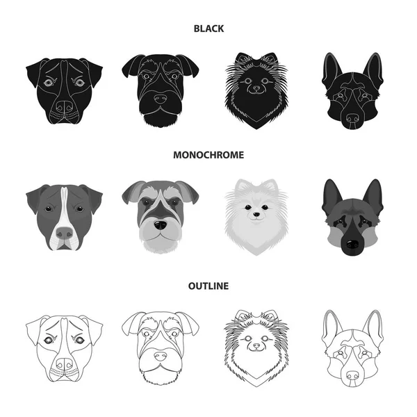 Bozal de diferentes razas de perros. Raza de perro Stafford, Spitz, Risenschnauzer, pastor alemán conjunto colección iconos en negro, monocromo, contorno estilo vector símbolo stock ilustración web . — Vector de stock