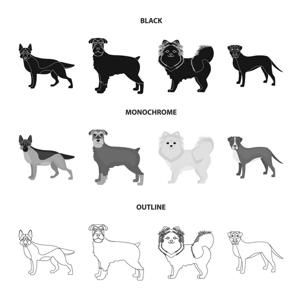 Perro razas negro, monocromo, iconos de contorno en la colección de conjuntos para design.Dog mascota vector símbolo stock web ilustración . — Archivo Imágenes Vectoriales