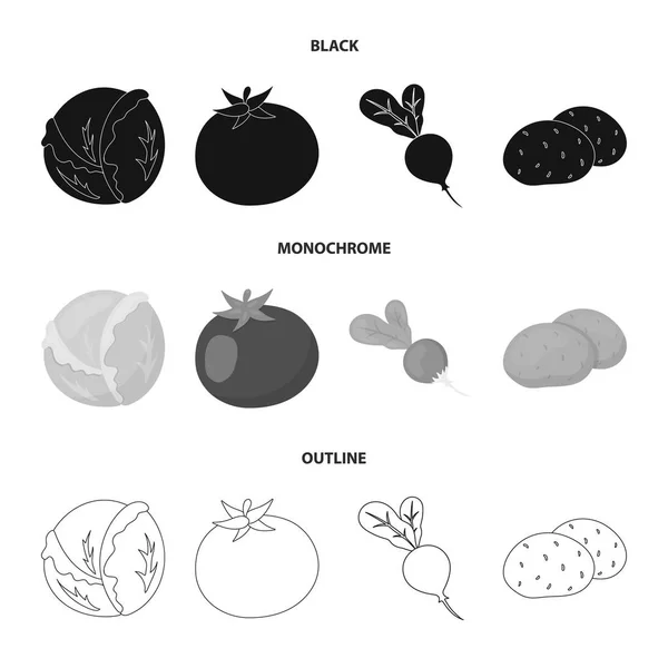 Weißkohl, Tomatenrot, Reis, Kartoffeln. Gemüse Set Sammlung Symbole in schwarz, monochrom, Umriss Stil Vektor Symbol Stock Illustration Web. — Stockvektor