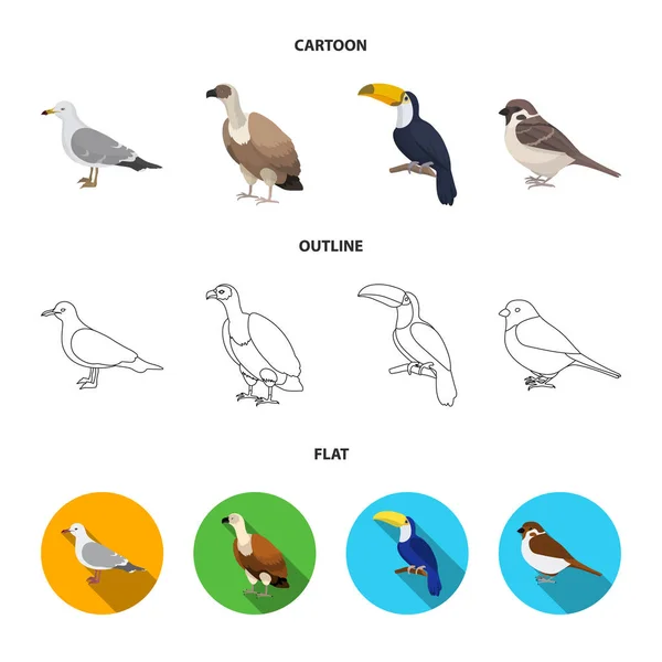 Gaviota, tucán y otras especies. Pájaros conjunto colección iconos en dibujos animados, contorno, plano estilo vector símbolo stock ilustración web . — Archivo Imágenes Vectoriales