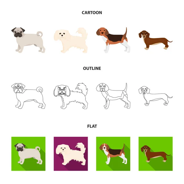 Raças de cães desenhos animados, contorno, ícones planas na coleção de conjuntos para design.Dog animal de estimação símbolo web ilustração . — Vetor de Stock