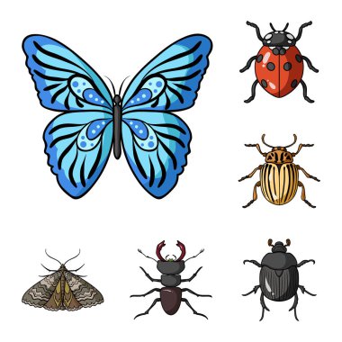 Çeşitli böcekler set koleksiyonu tasarım için simgeleri karikatür. Böcek Eklem bacaklılar vektör simge stok web çizimi.