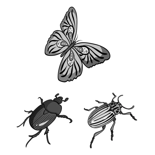 Different kinds of insects monochrome icons in set collection for design. Insect arthropod vector isometric symbol stock web illustration. — Stock Vector