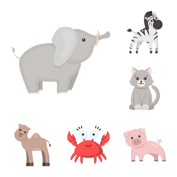 Ein unrealistischer Zeichentrickfilm Animal Icons in Set Collection für Design. Spielzeug Tiere Vektor Symbol Stock Web Illustration. — Stockvektor