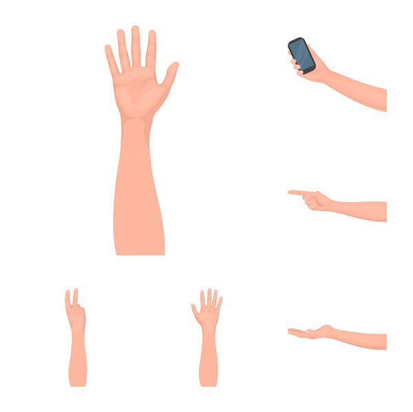 Gestures and their meaning cartoon icons in set collection for design.Emotional part of communication vector symbol stock web illustration.