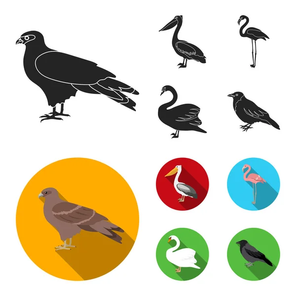 Drachen, Pelikane, Flamingos, Schwäne. Vögel setzen Sammlung Symbole in schwarz, flachen Stil Vektor Symbol Stock Illustration Web. — Stockvektor