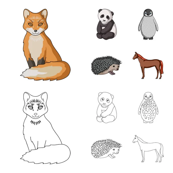 Fox, panda, σκαντζόχοιρος, penguin και άλλα ζώα. Ζώα εικόνες συλλογή που σε σκίτσο, περίγραμμα στυλ διάνυσμα σύμβολο μετοχής εικονογράφηση web. — Διανυσματικό Αρχείο