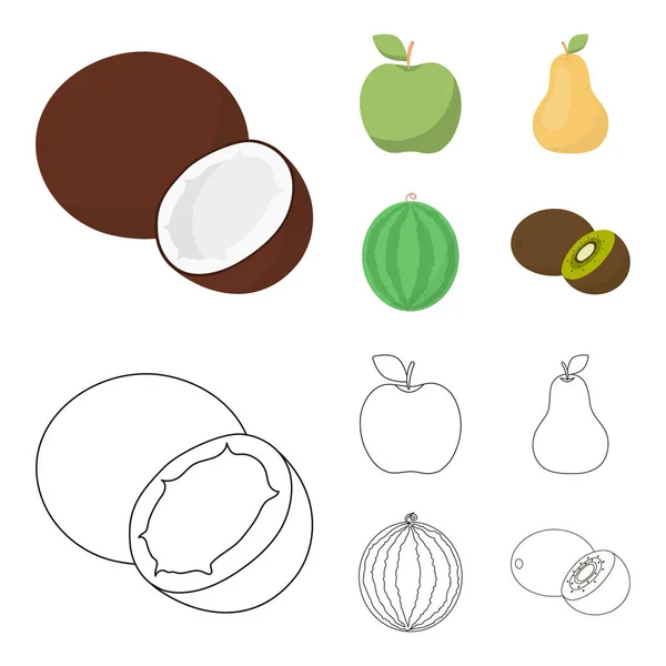Coco, maçã, pêra, melancia. Ícones de coleção de conjuntos de frutas em desenhos animados, esboço estilo vetor símbolo ilustração web . — Vetor de Stock