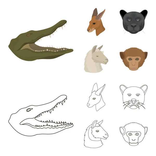 Kängurus, Lamas, Affen, Panther, realistische Tiere setzen Sammlungssymbole in Cartoon, umreißen Stil Vektor Symbol Stock Illustration Web. — Stockvektor