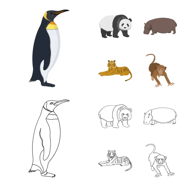 Oso de bambú, hipopótamo, tigre animal salvaje, mono. Animales salvajes conjunto colección iconos en dibujos animados, contorno estilo vector símbolo stock ilustración web . — Vector de stock