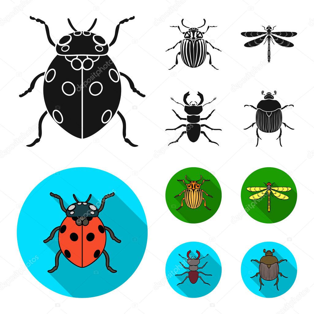 Insect, bug, beetle, paw .Insects set collection icons in black, flat style vector symbol stock illustration web.